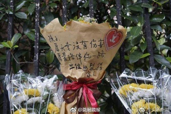 夏普谈球员排名：分卫前二是乔科 小前是詹杜鸟 大前是邓肯字母